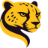 cheetah-tool.com favicon