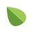 ecobamboo.com favicon