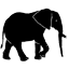 edwardselfephotosafaris.com favicon