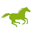 hochlandhof.de favicon