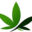 lakushca.com favicon