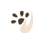 petfy.fr favicon