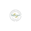 saporeum.dk favicon