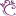 schminkwebshop.nl favicon