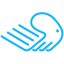 warrioresstrusha.com favicon