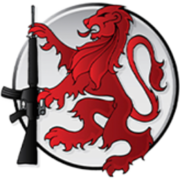 landwarriorairsoft.com favicon