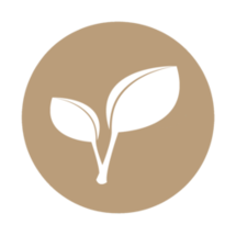 naturalfencing.nl favicon