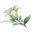 outfitnowx.com favicon