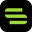 scoutwise.co favicon