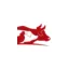 macelleriabottasso.com favicon
