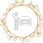 texaslimocarservice.com favicon