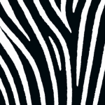 zebrapen.co.uk favicon