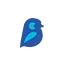 bluebirdaccountancy.co.uk favicon