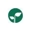 evergreen16.it favicon