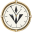 newclonewatches.com favicon