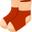 plantarsocks.com favicon