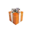 surprise-msg.com favicon