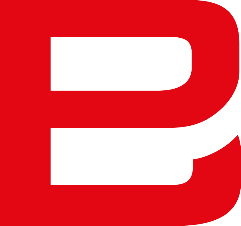 binder-partner.de favicon