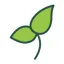 bloomling.de favicon