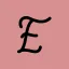 ecomstoresllc.com favicon