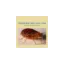 pestcontrolind.com favicon