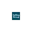 sallinggroup.dk favicon