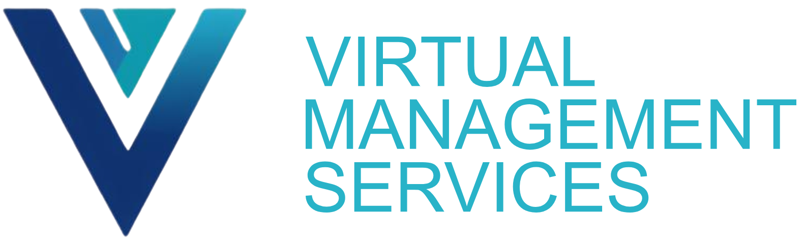 virtualmanagementservices.com favicon