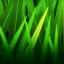 backyardcity.com favicon