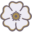 mymoneyyard.com favicon