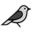 origonews.com favicon