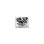 schnauzerheaven.com favicon