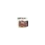 hotdogcoolcat.com.au favicon