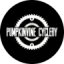 pumpkinvinecyclery.com favicon