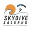 skydivesalerno.it favicon