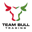 teambull.ai favicon
