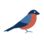 bullfinchrecruitment.com favicon