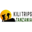 kilitrips-tz.com favicon