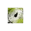 leonhansen.dk favicon