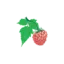 salmonberrytours.com favicon