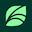 springhealth.com favicon