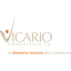 vicario.ch favicon