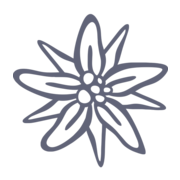 zahnarztzentrum.ch favicon