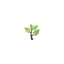designtraegulve.dk favicon