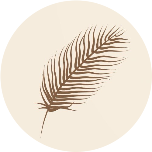 elizabethhair.pt favicon