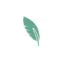 farmaciainrete.it favicon
