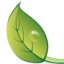 mnrainman.com favicon