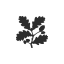 nationaltrust-tickets.org.uk favicon
