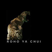 rohoyachui.com favicon