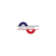 bditaliasrl.com favicon