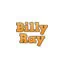 billyray.it favicon